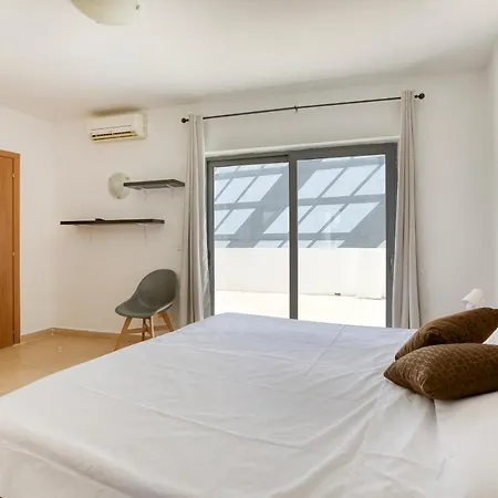 1br Penthouse With Large Private Terrace In Pv By 360 Estates 公寓 *
